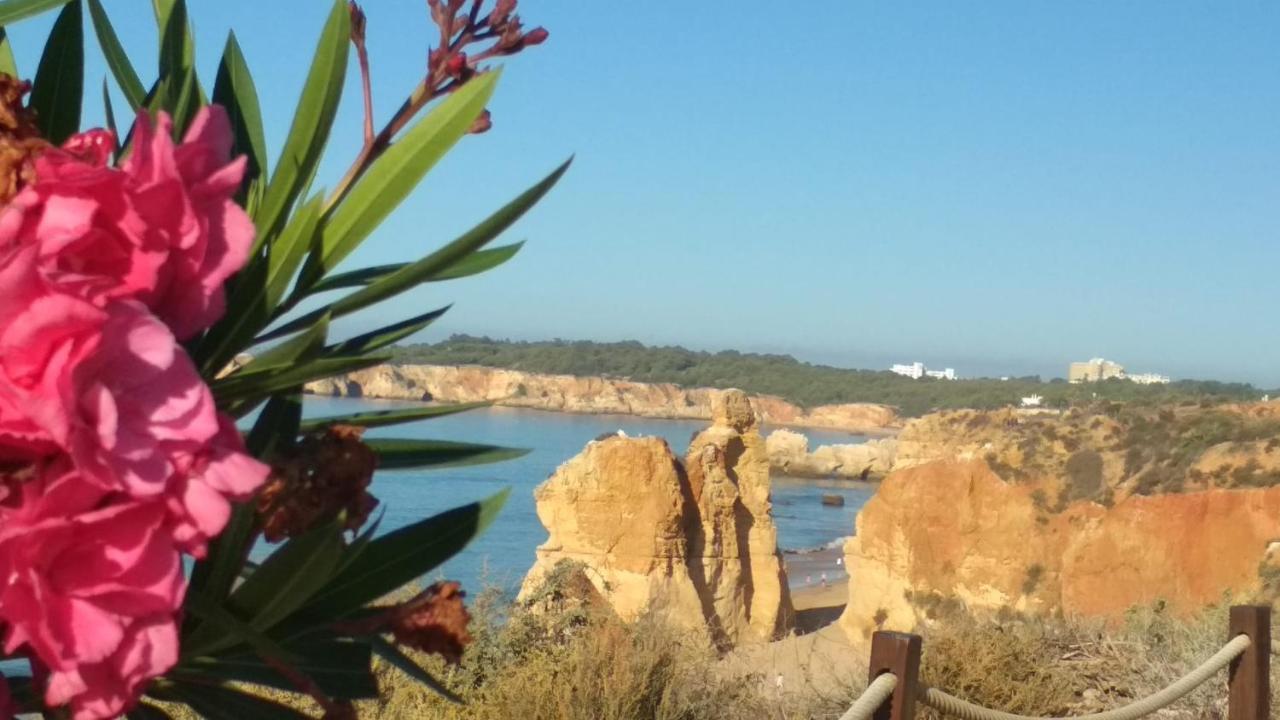 Albur Village B - Hyacinth Alvor Extérieur photo